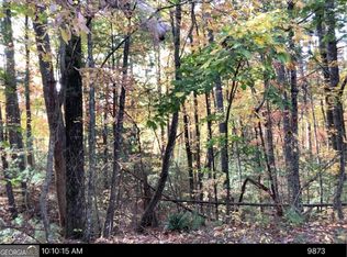 Andros Ct N, Ellijay, GA 30540