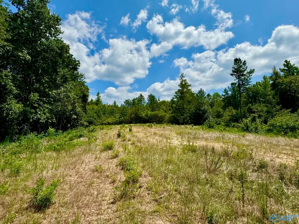 Dewberry Lane Dewberry Dr, Sulligent, AL 35586