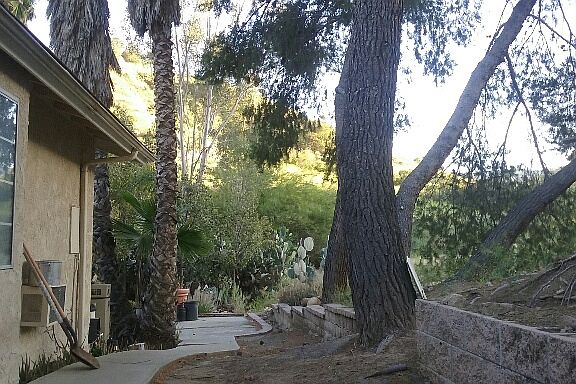 side yard sitting area