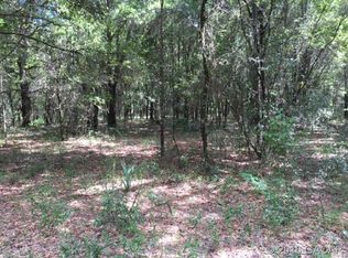 14801 SE County Road 2082, Hawthorne, FL 32640