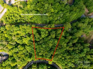 166 Chattooga Run #293, Hendersonville, NC 28739