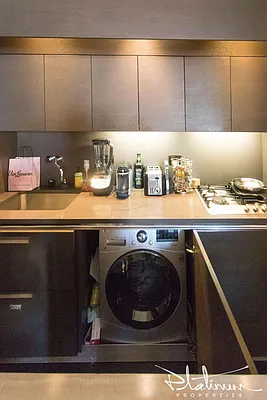 Rented by Platinum Properties | media 15