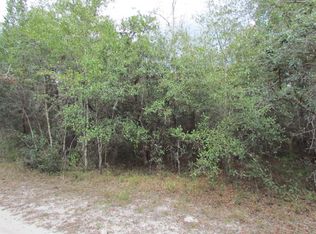 NE 975th St, Branford, FL 32008