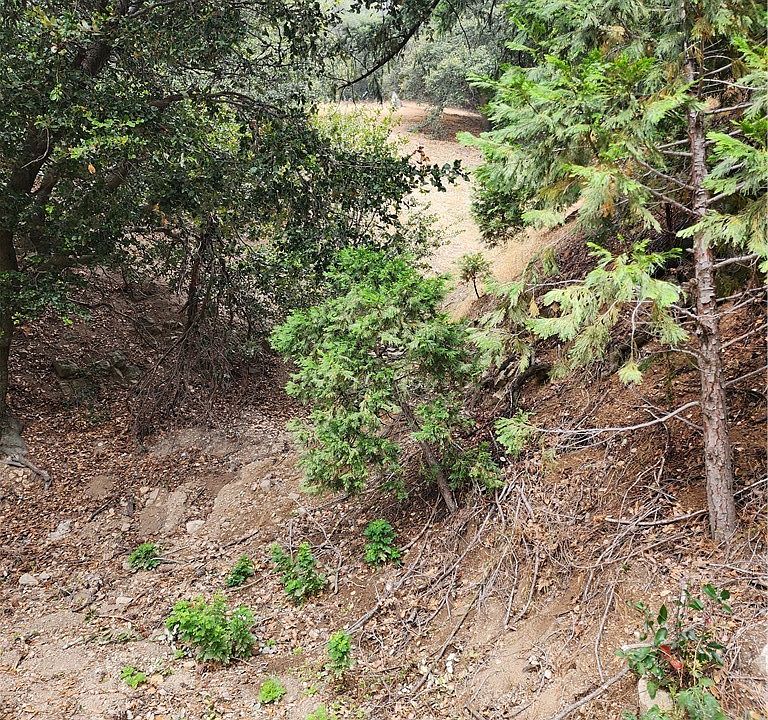 1st image of 0 Fern Canyon Rd