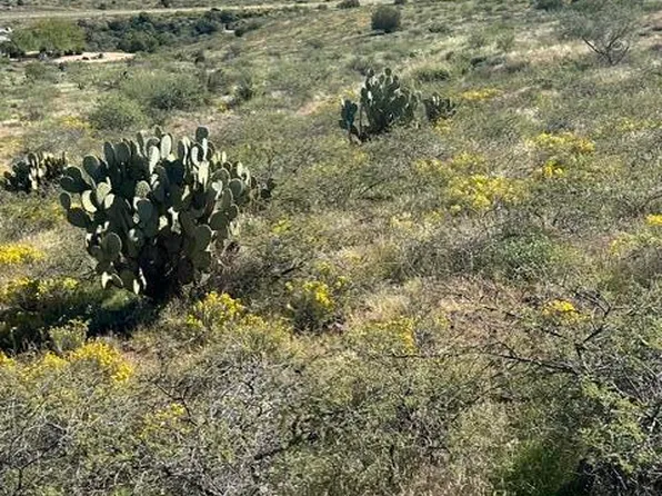 12331 S Caballo Ter, Mayer, AZ 86333