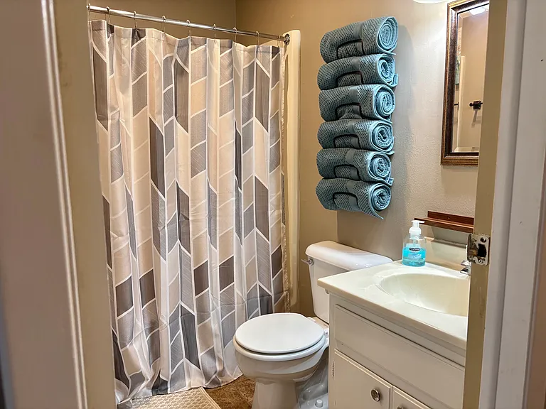 100 E Prospect Ave #6 — Photo 8