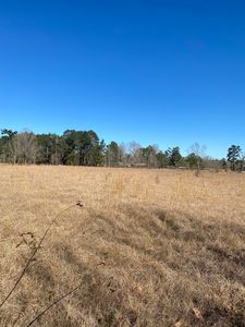 Tolbert Loop, Hineston, LA, 71438