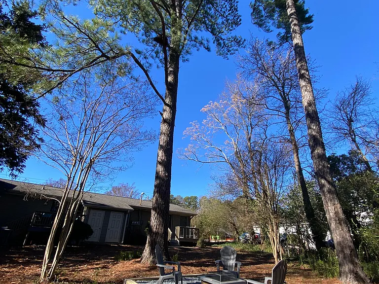 409 Jones Franklin Rd — Photo 20