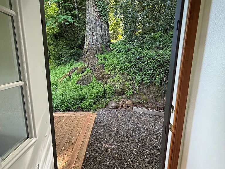 Door to back patio directly off the kitchen