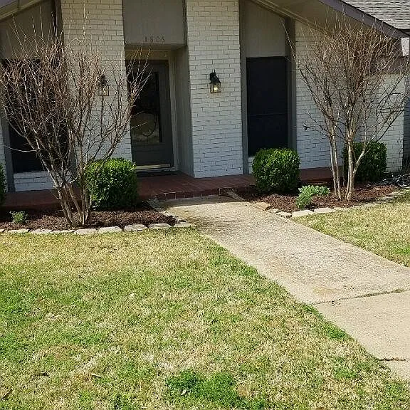 1806 Tree Line Dr — Photo 1