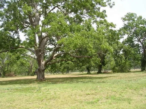 4803 Pecan Reserve Ln, Fulshear, TX 77441