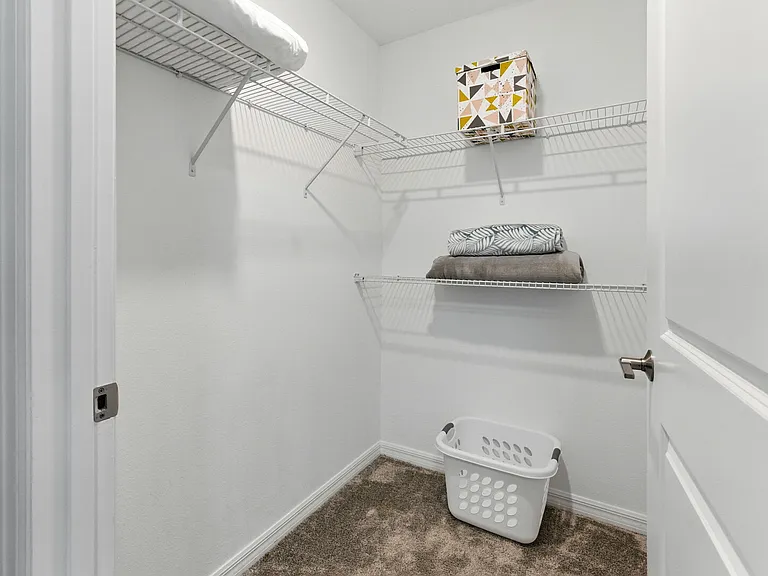 Paradox Cir — Photo 19