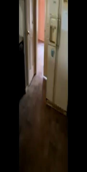 1st image of 206 Leghrand Court
