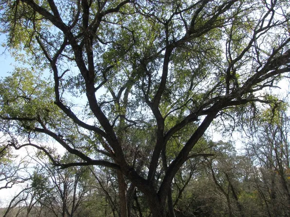 42 Ph Pr #4-42129, Evant, TX 76525