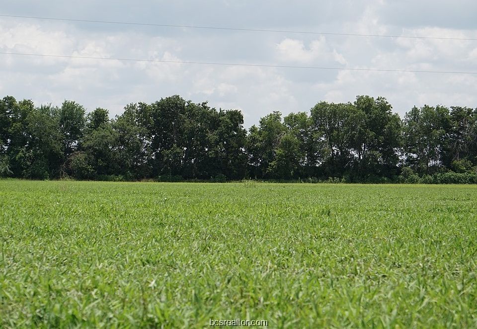 1st image of 852 County Road 328