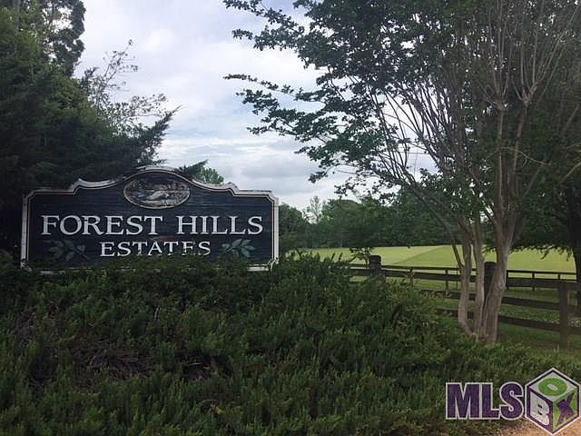 1st image of Forest Hills Dr