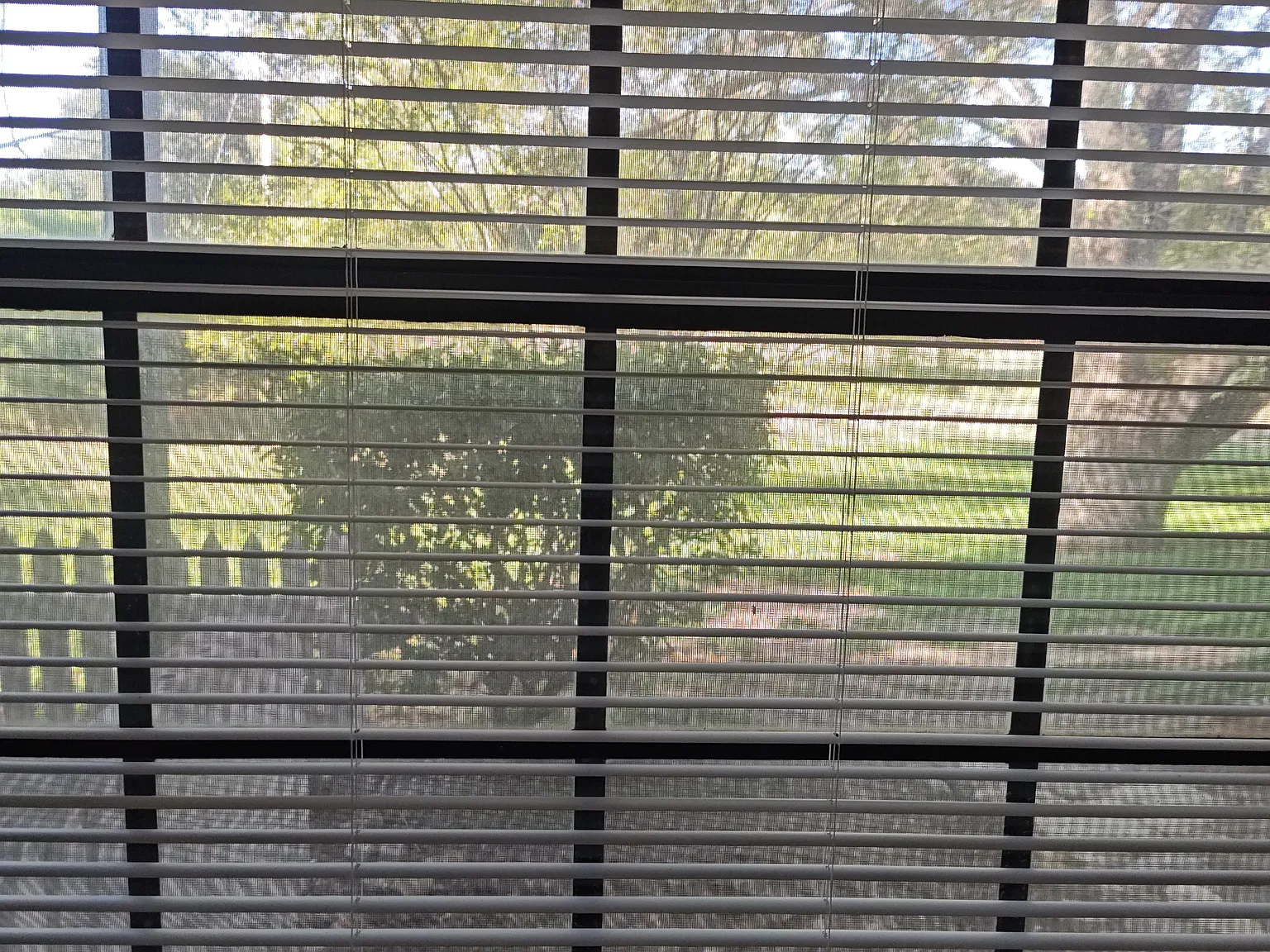 1 bed, 743 sqft, $1,199 — Photo 4