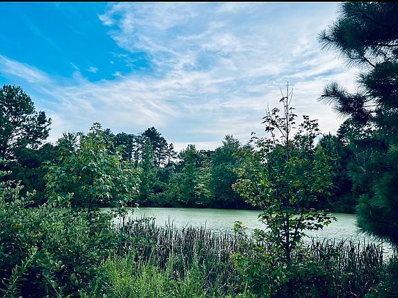 Pond