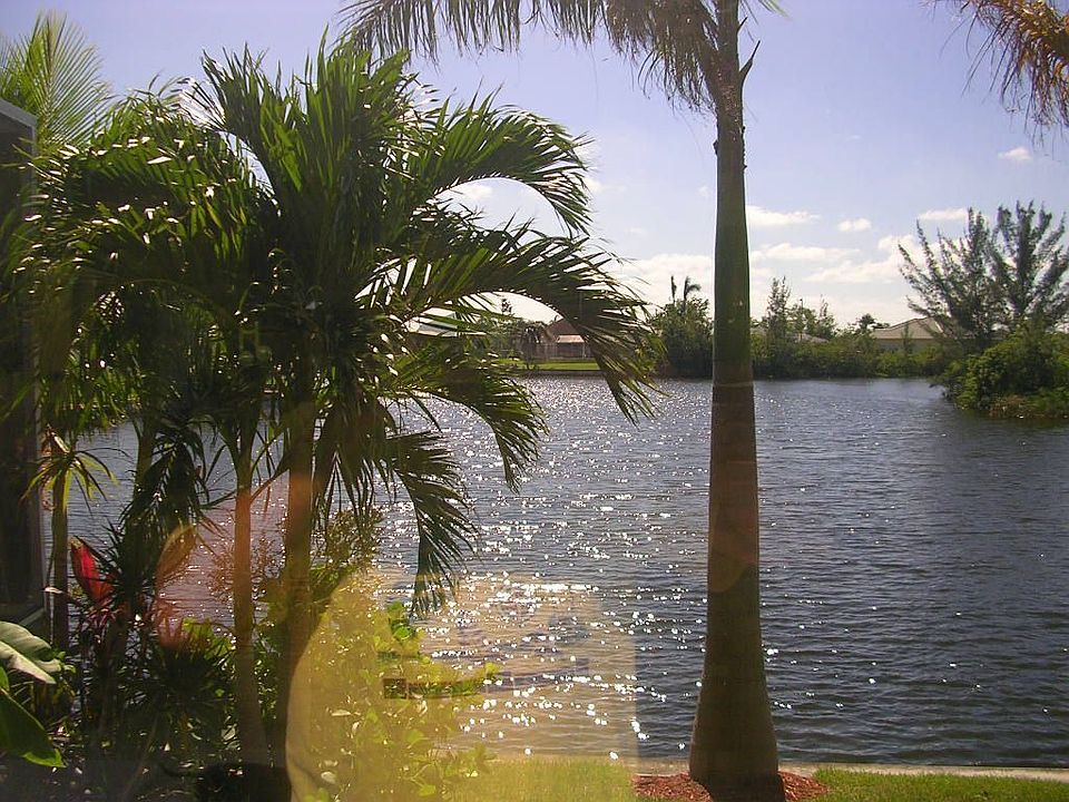 view from family room