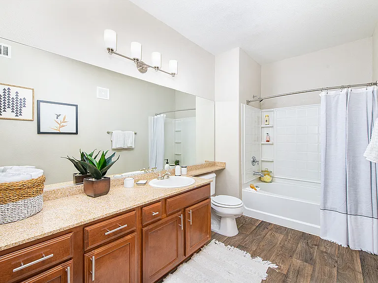 MAA Palm Vista — Photo 9