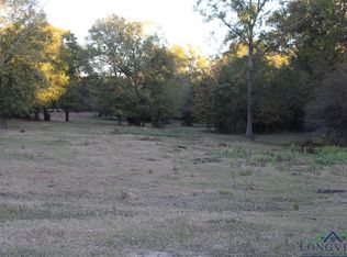 Davidson Rd, Diana, TX 75640
