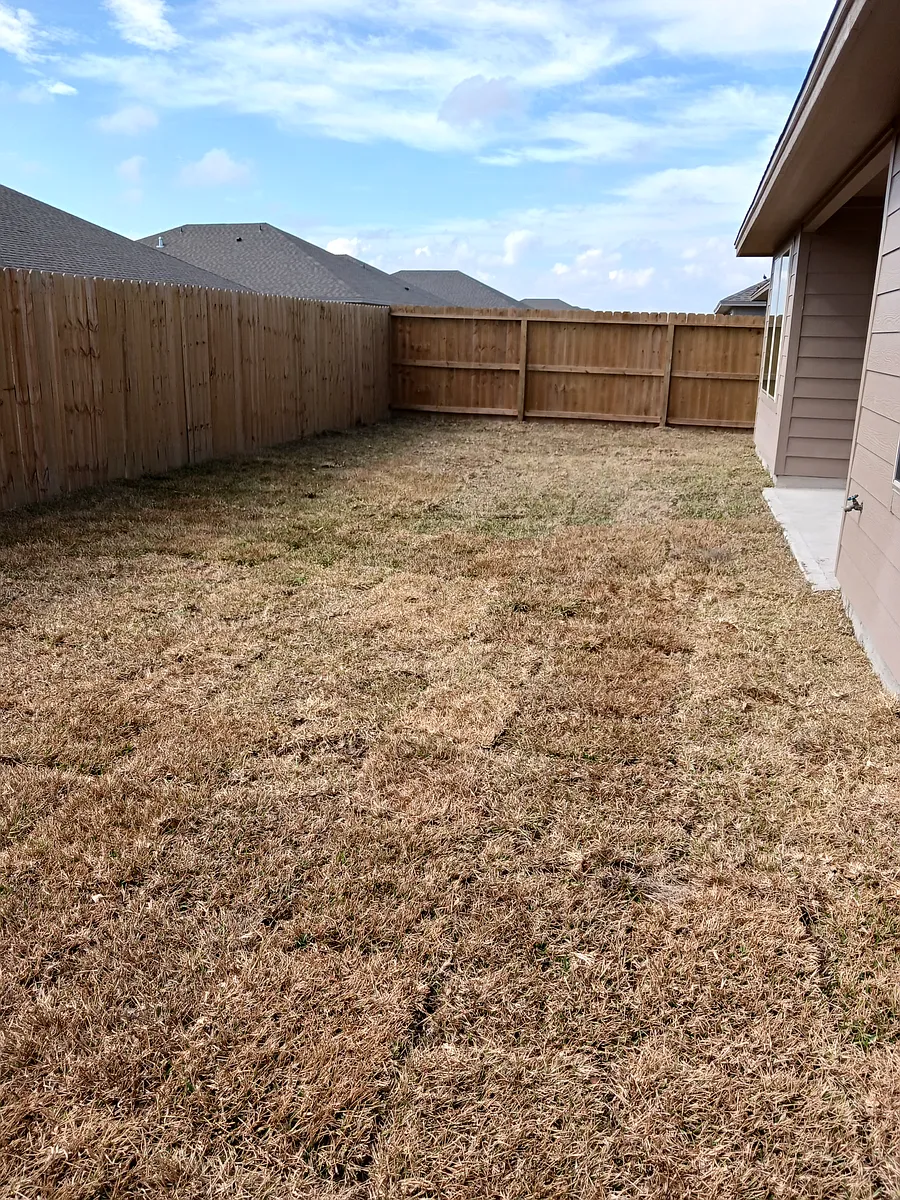 Backyard - 7821 Lariat Toss Dr