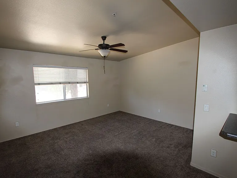 1185 W University Ave #19-259 — Photo 6