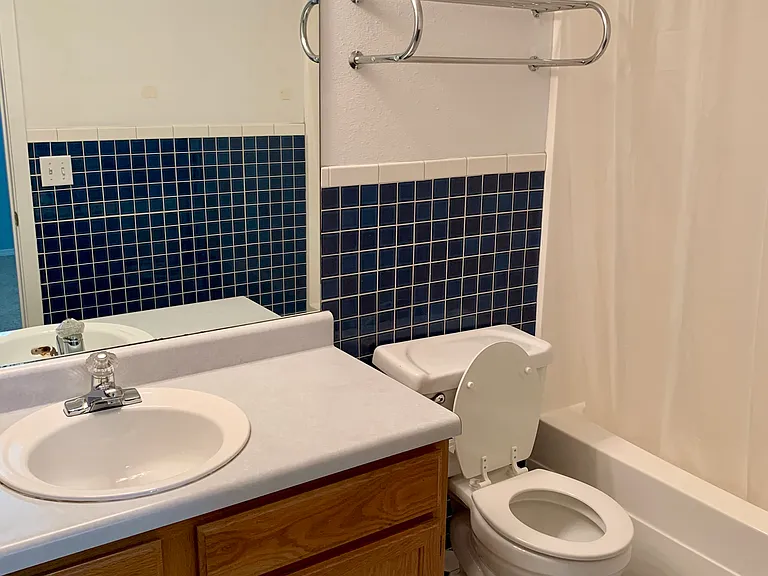 Bathroom (Master)