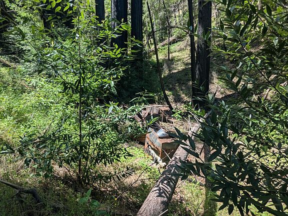 3rd image of 0 Skaggs Springs Road