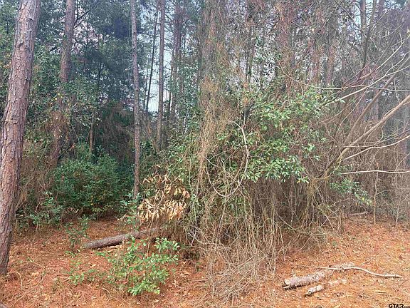 3rd image of 406 Janis Dr