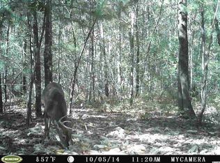 Privetts Road Off Privetts Rd, Conway, SC 29526