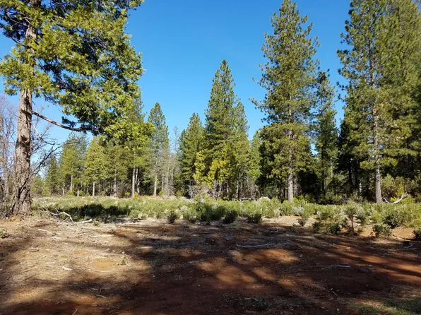LOT 32 Shingle Glen Trl, Shingletown, CA 96088