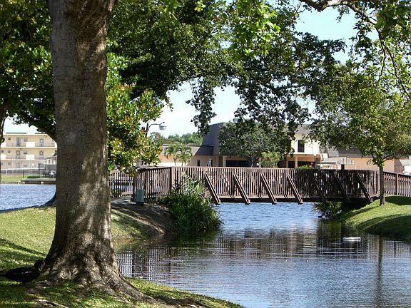  view in the back of the house