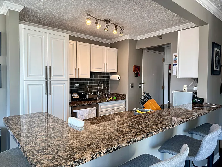 111 W Maple St #1501 — Photo 11