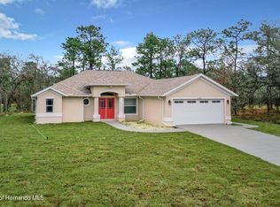 12287 Snow Goose Ave, Weeki Wachee, FL 34614