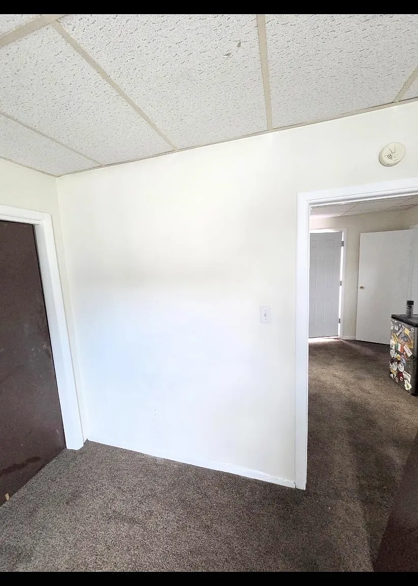 1 bed, 1.0 bath, $1,590 — Photo 3