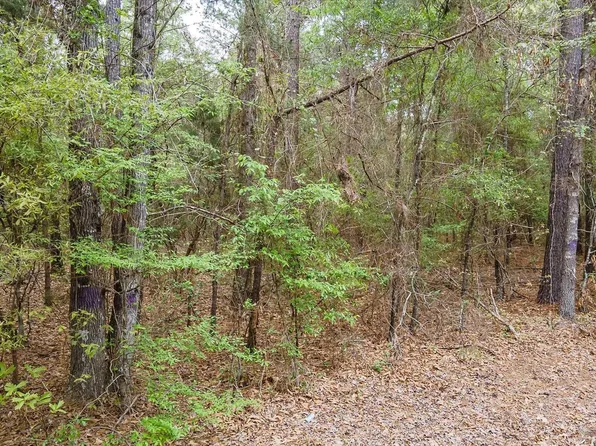 TRACT 2 County Road 3460, Hawkins, TX 75765