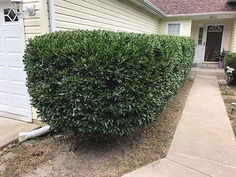 Walkway to front door