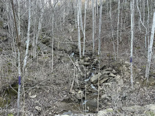 0 E Obey Ln Lot 378, Wilder, TN 38589