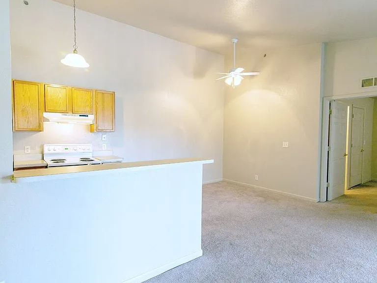 Beautiful Open Kitchen and Dining Area
