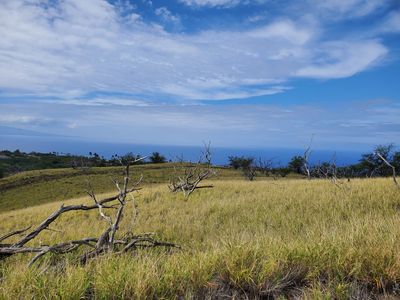 Kaala Rd Lot 236, Kamuela, HI, 96743