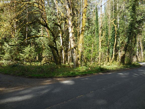 4th image of Welches Rd
