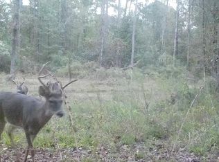 3881 Old Port Gibson Rd, Utica, MS 39175