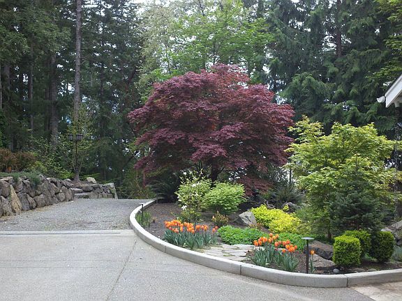 Driveway leading to studio
