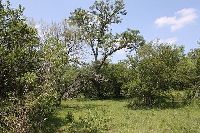 1st image of 0 Aquifer Oaks Trl