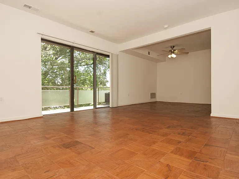 Chestnut Apartments — Photo 4