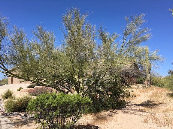 3rd image of 8038 E Lariat Ln