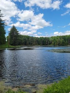275 Holl Rd #43, New Berlin, NY, 13411