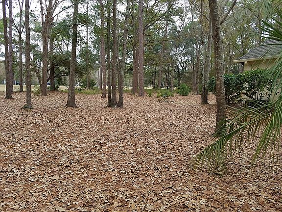 Huge yard and common ground.