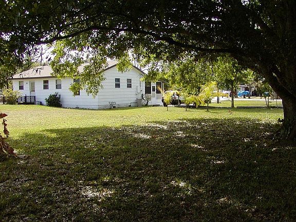 Large old oak in NW corner of back yard